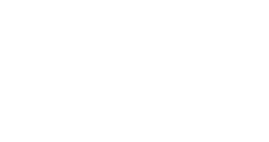LogoWebBN